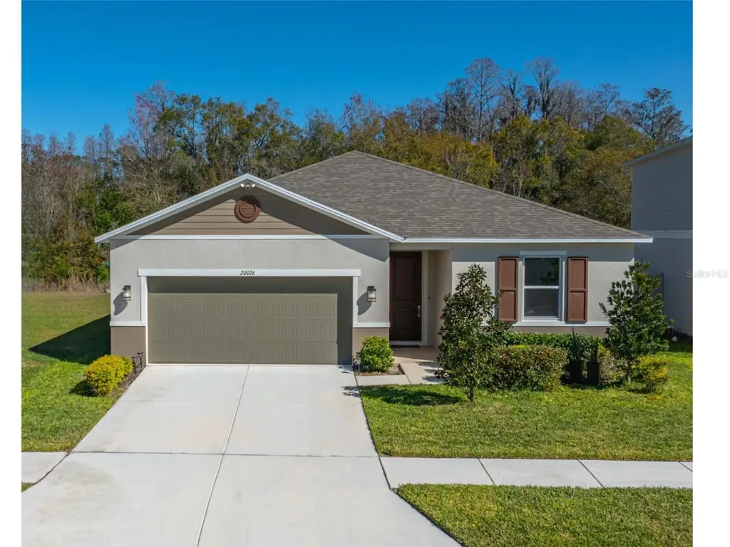 20076 Azul Marble Loop Land O Lakes FL 34638