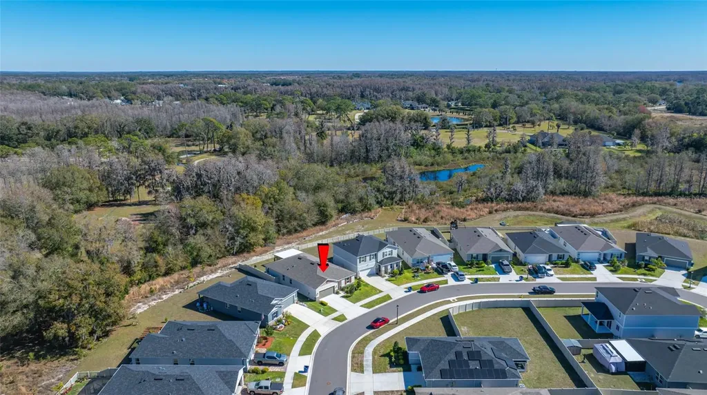 20076 Azul Marble Loop Land O Lakes FL 34638