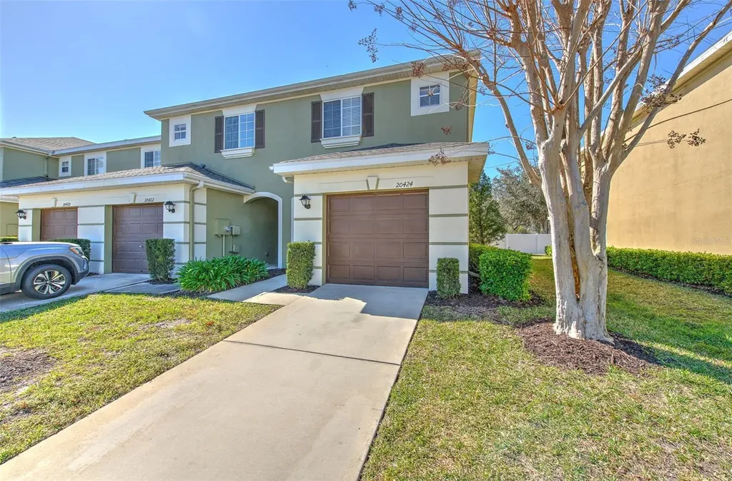 20424 Needletree Drive Tampa FL 33647