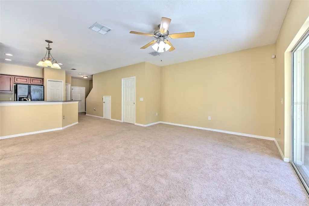 20424 Needletree Drive Tampa FL 33647