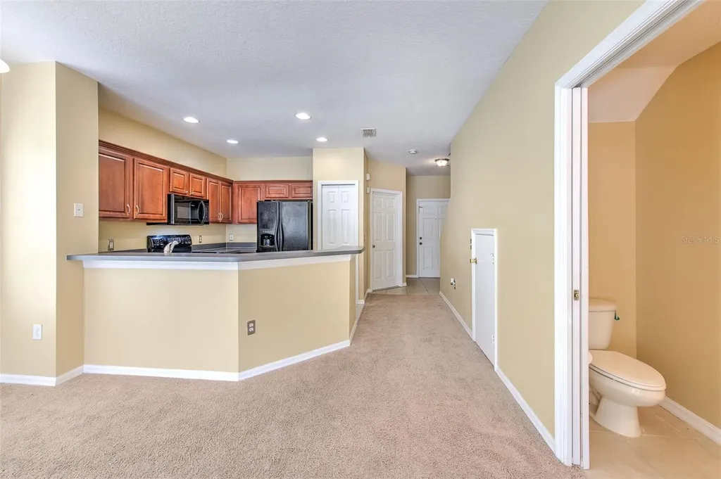 20424 Needletree Drive Tampa FL 33647