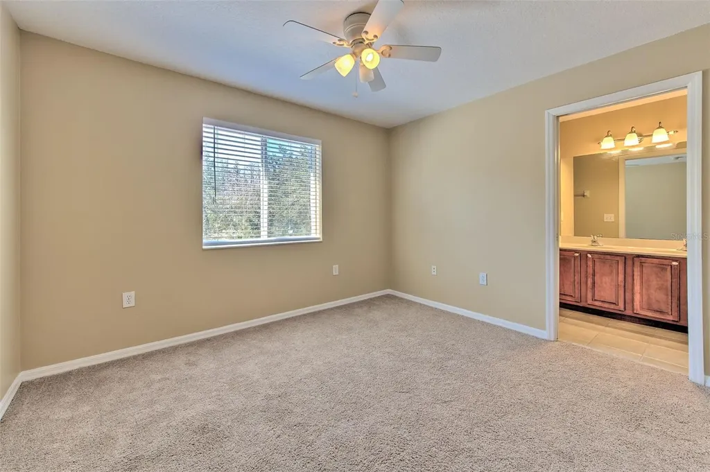 20424 Needletree Drive Tampa FL 33647