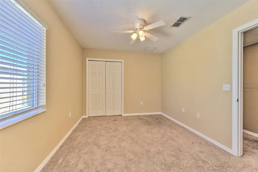 20424 Needletree Drive Tampa FL 33647