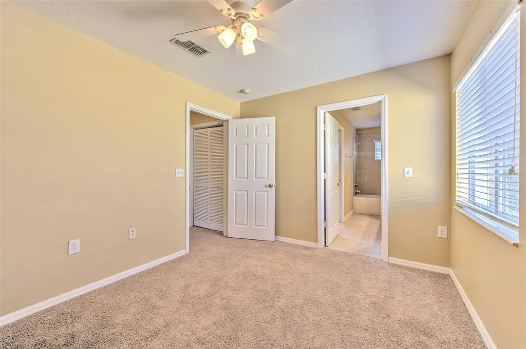 20424 Needletree Drive Tampa FL 33647