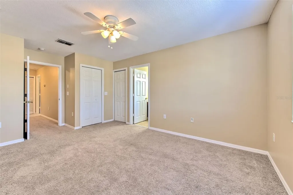 20424 Needletree Drive Tampa FL 33647