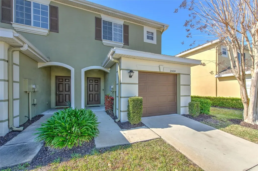 20424 Needletree Drive Tampa FL 33647