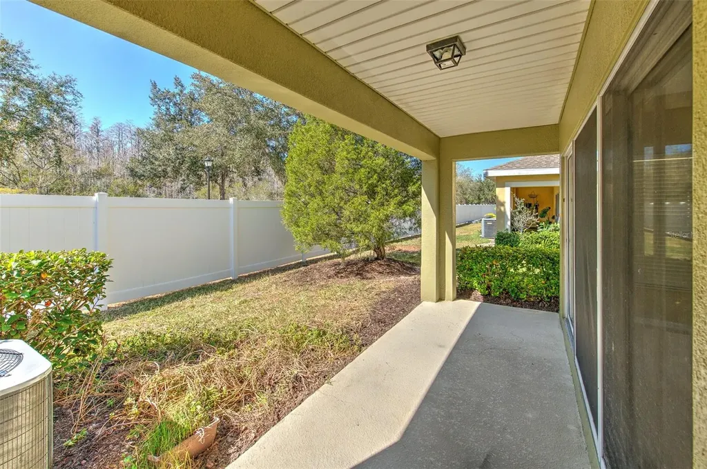 20424 Needletree Drive Tampa FL 33647