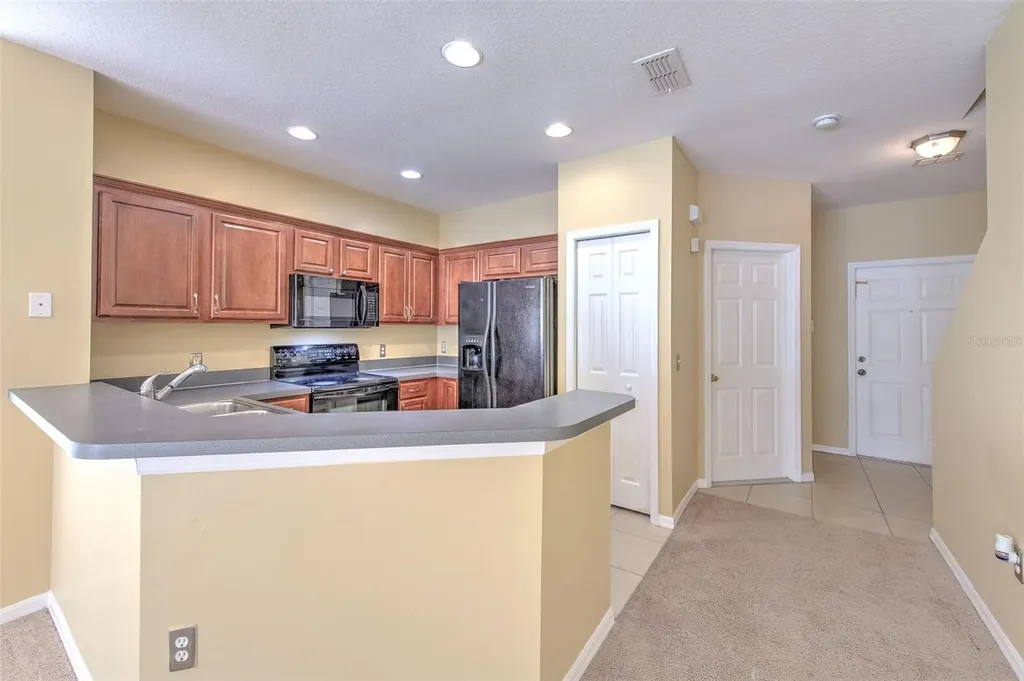20424 Needletree Drive Tampa FL 33647