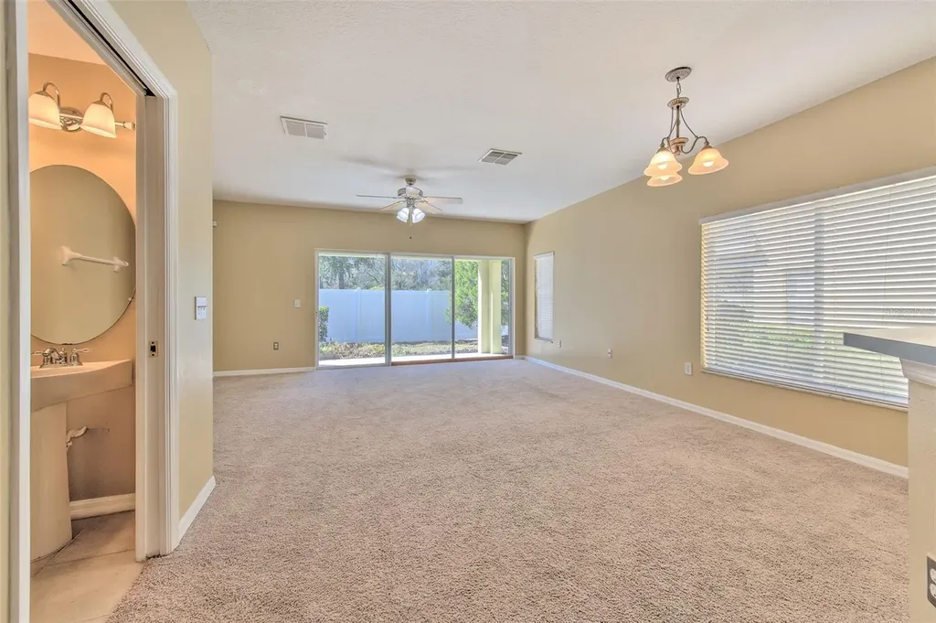 20424 Needletree Drive Tampa FL 33647