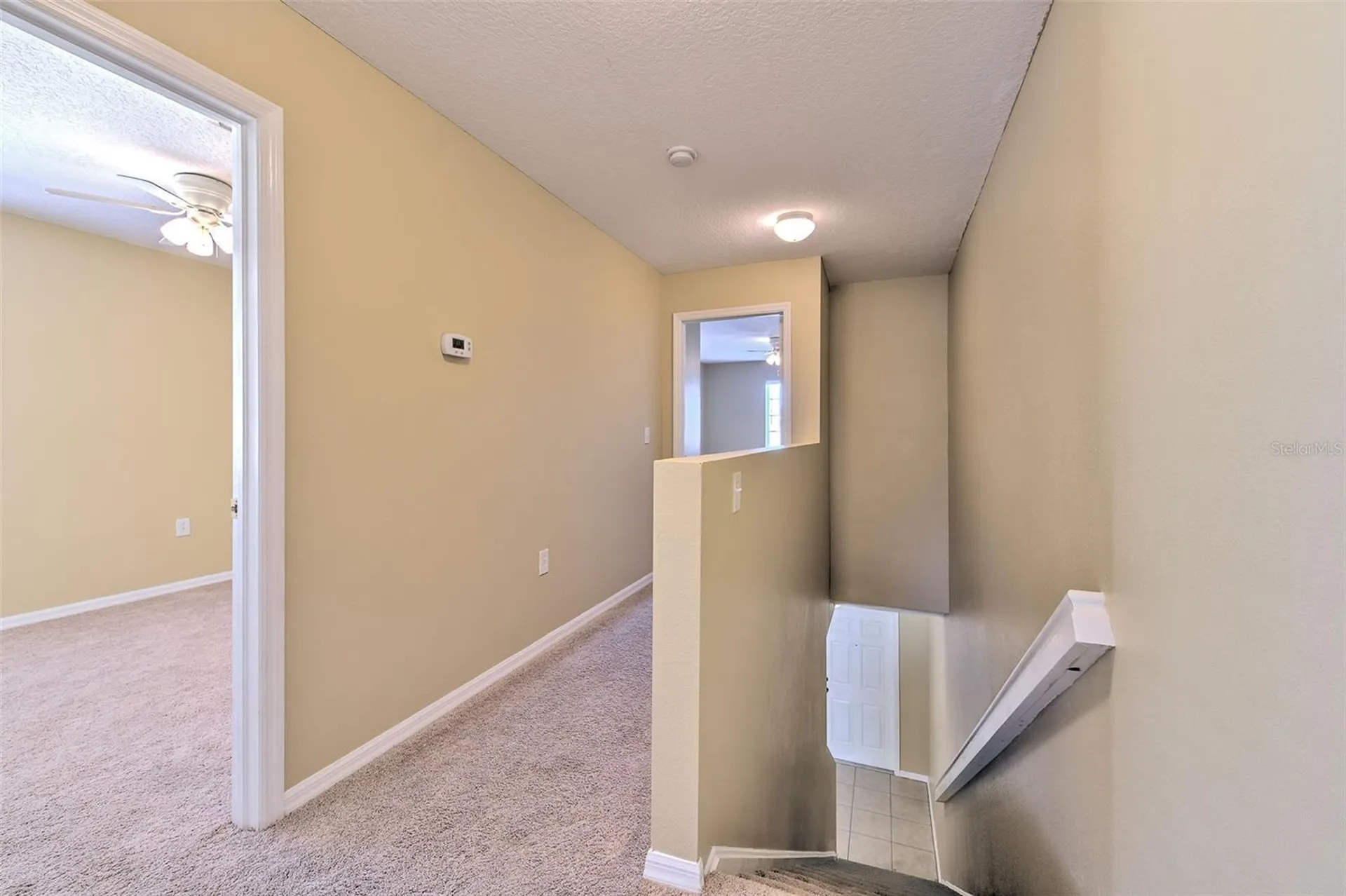 20424 Needletree Drive Tampa FL 33647