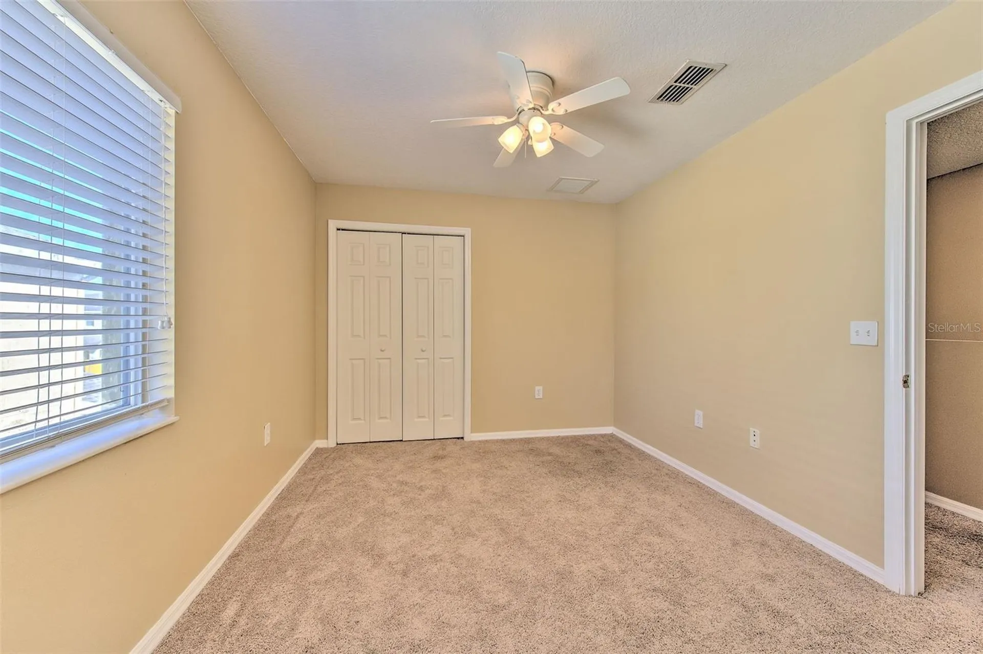 20424 Needletree Drive Tampa FL 33647