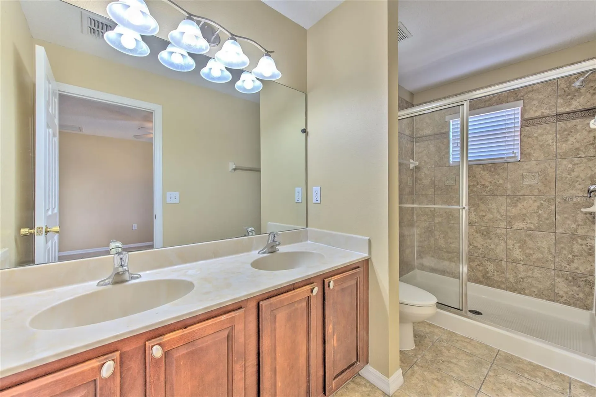 20424 Needletree Drive Tampa FL 33647