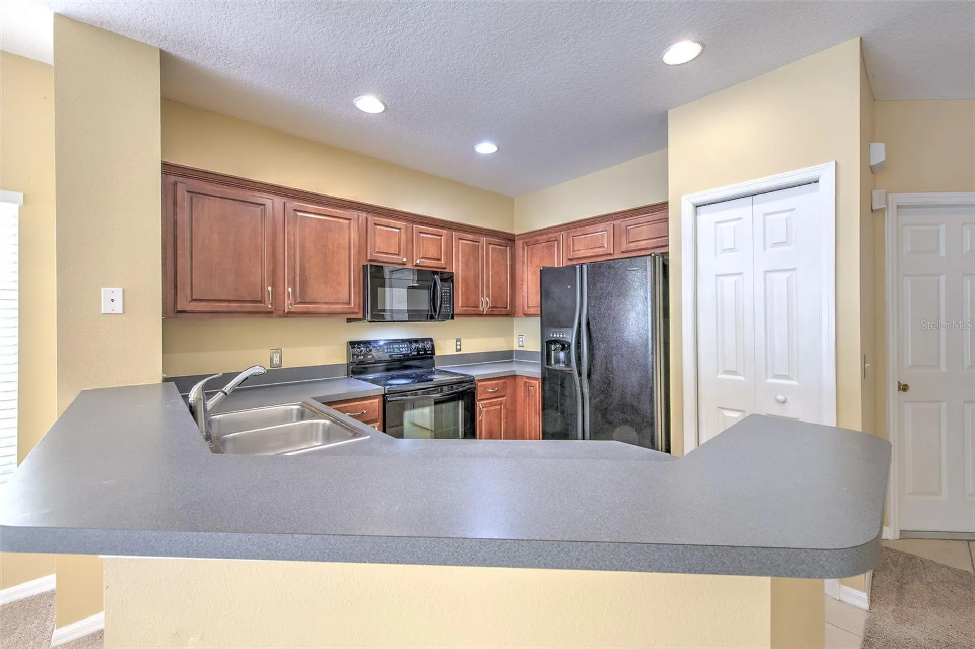 20424 Needletree Drive Tampa FL 33647