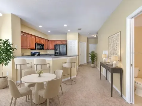 20424 Needletree Drive Tampa FL 33647