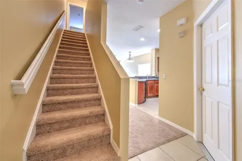 20424 Needletree Drive Tampa FL 33647