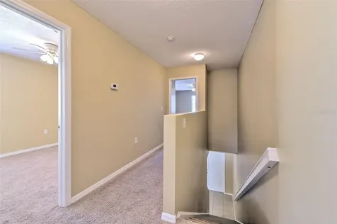 20424 Needletree Drive Tampa FL 33647