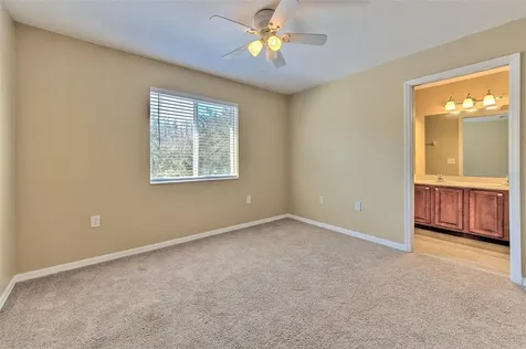 20424 Needletree Drive Tampa FL 33647