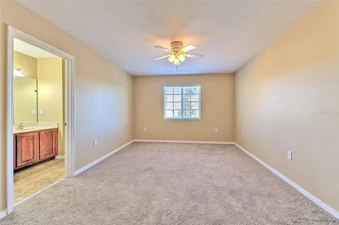 20424 Needletree Drive Tampa FL 33647