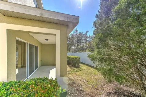 20424 Needletree Drive Tampa FL 33647