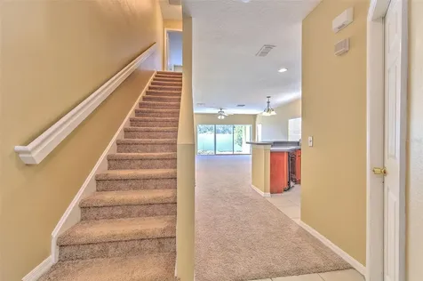 20424 Needletree Drive Tampa FL 33647