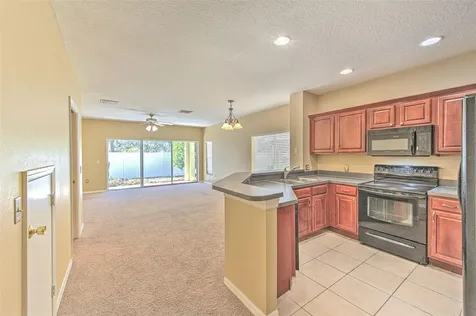 20424 Needletree Drive Tampa FL 33647