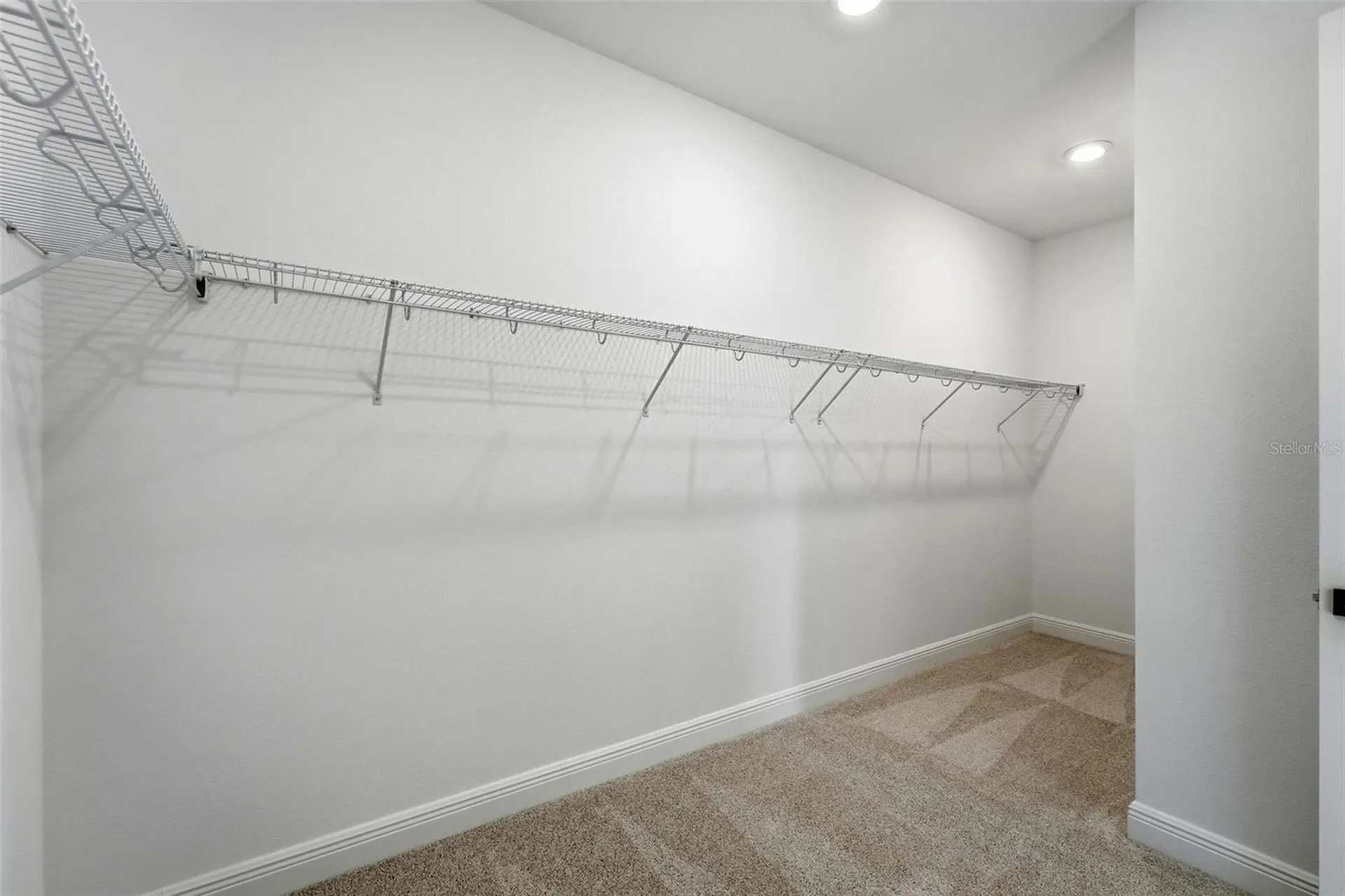 3500 Lemon Button Terrace Apopka FL 32712