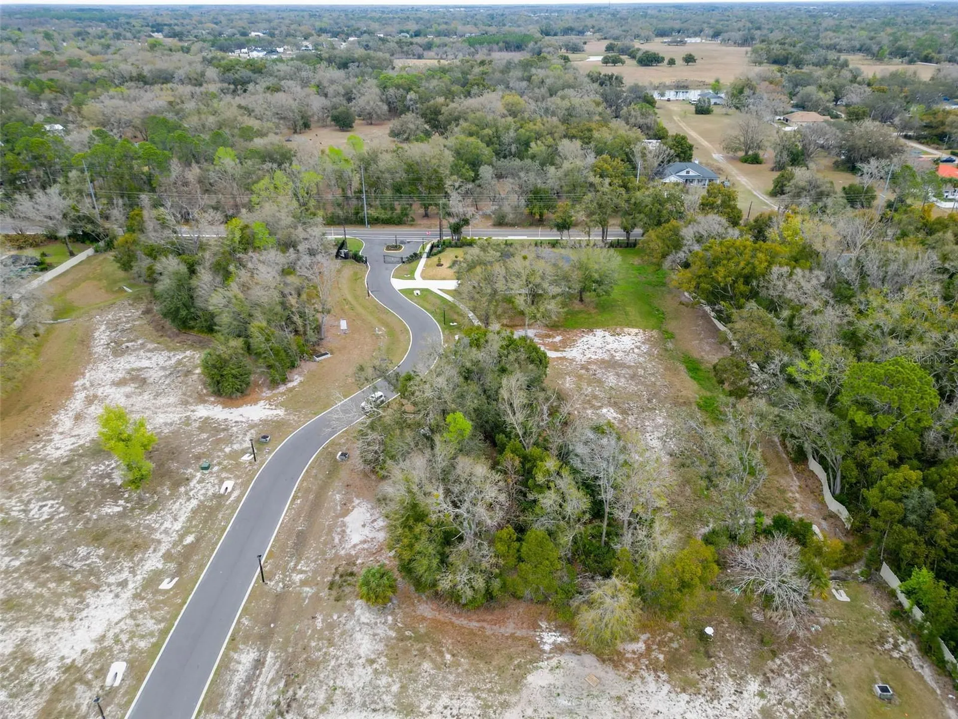 18460 Purple Creek Lane Lutz FL 33549
