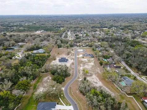 18460 Purple Creek Lane Lutz FL 33549