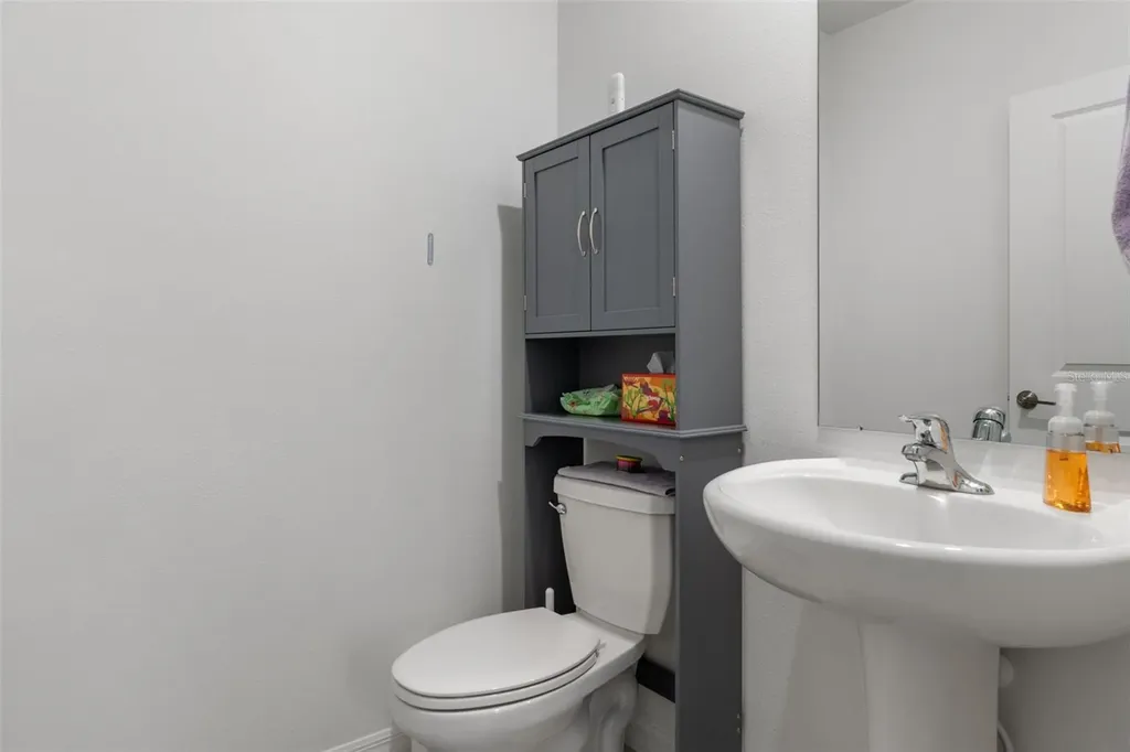 22169 Calisto Way Land O Lakes FL 34637