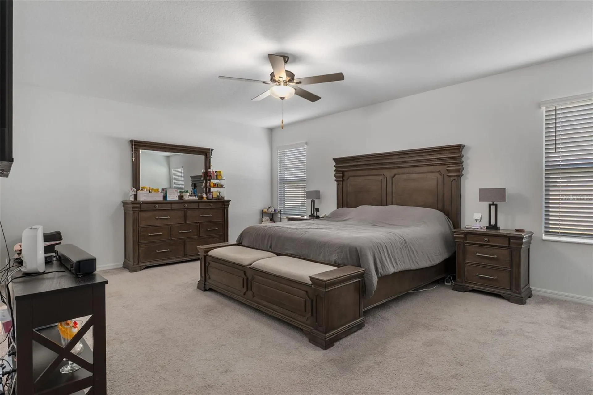 22169 Calisto Way Land O Lakes FL 34637