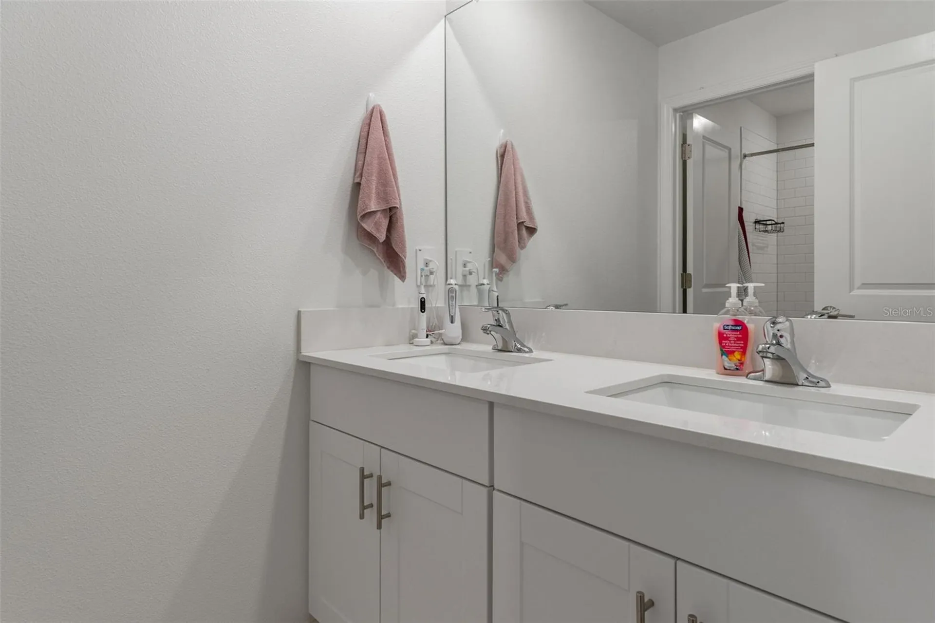 22169 Calisto Way Land O Lakes FL 34637