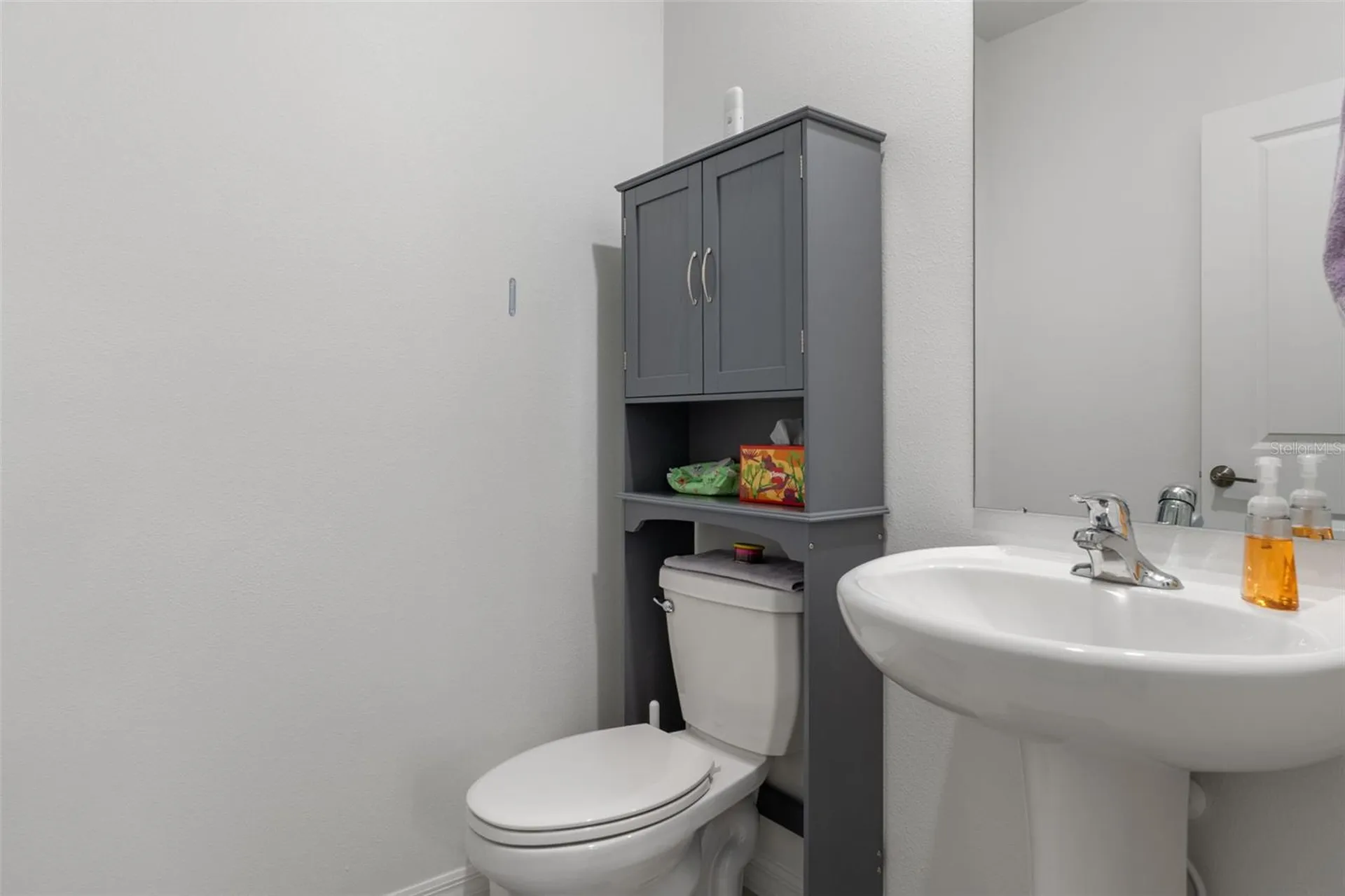 22169 Calisto Way Land O Lakes FL 34637