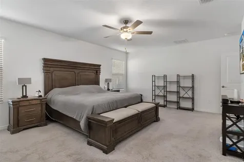 22169 Calisto Way Land O Lakes FL 34637