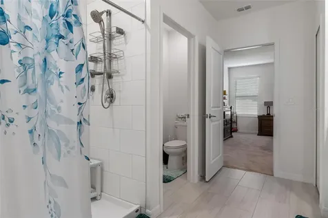 22169 Calisto Way Land O Lakes FL 34637