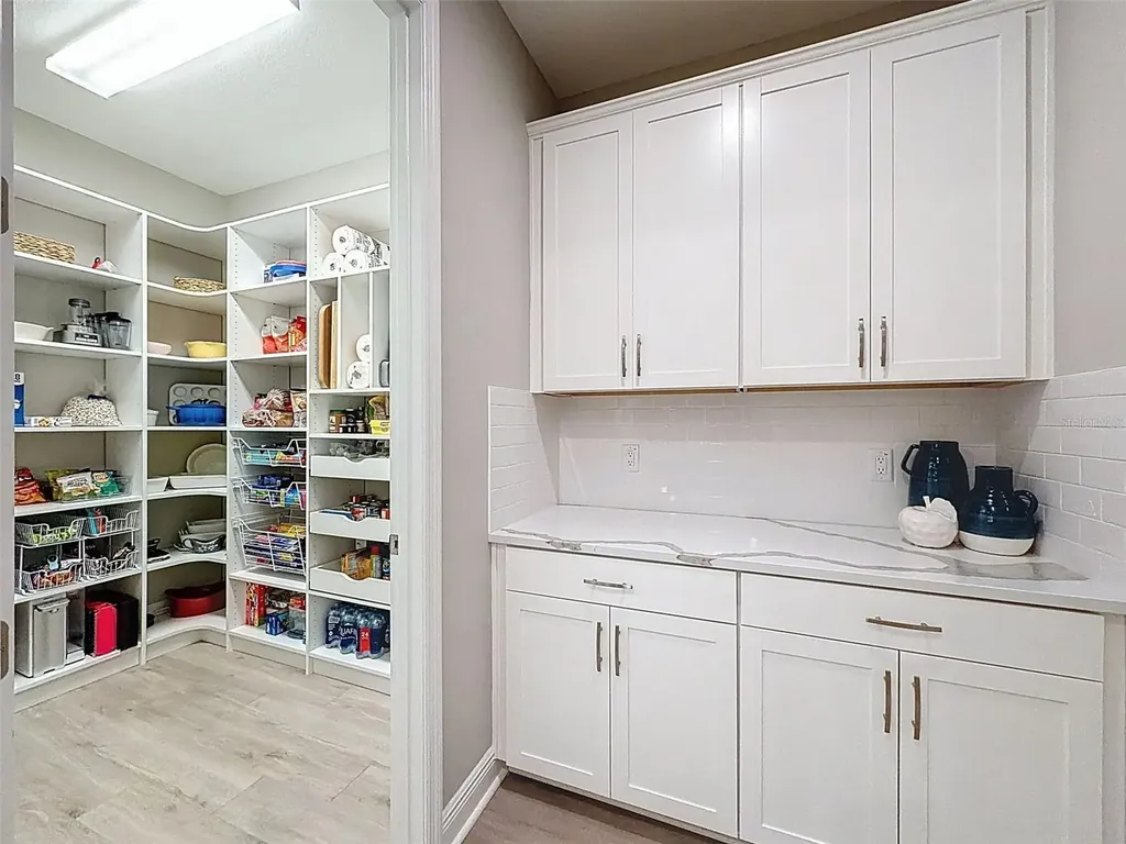4312 Burdick Loop Odessa FL 33556