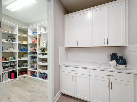 4312 Burdick Loop Odessa FL 33556
