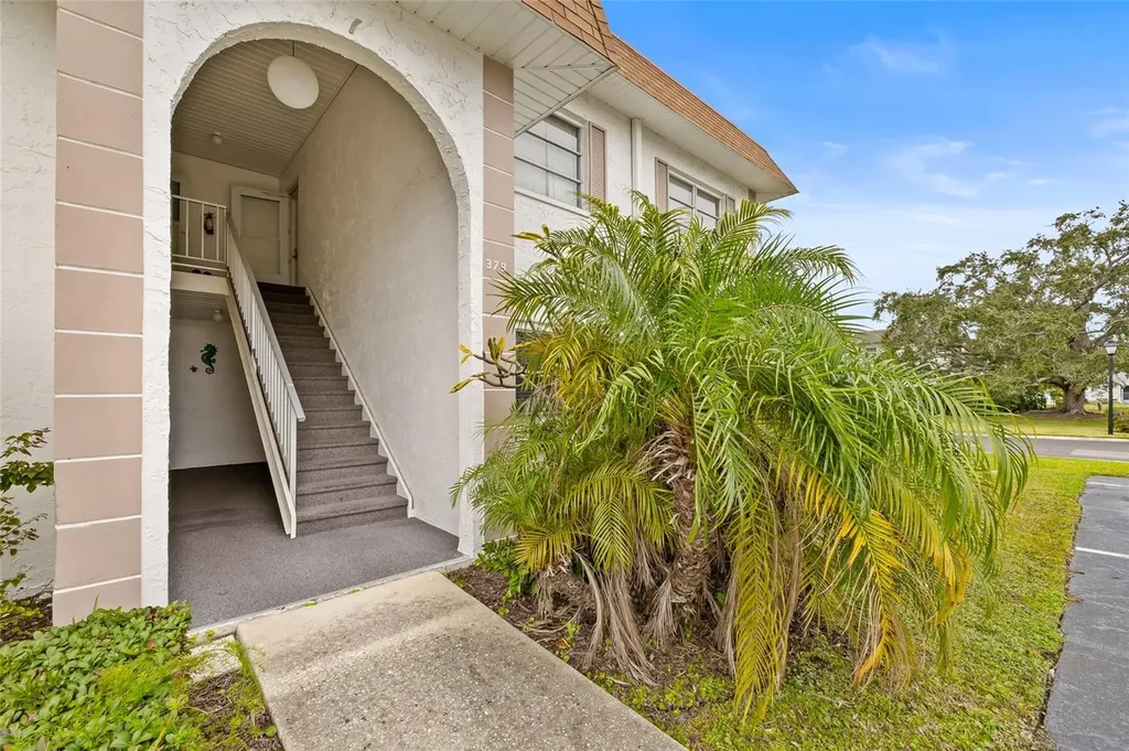 379 S Mcmullen Booth Road Clearwater FL 33759