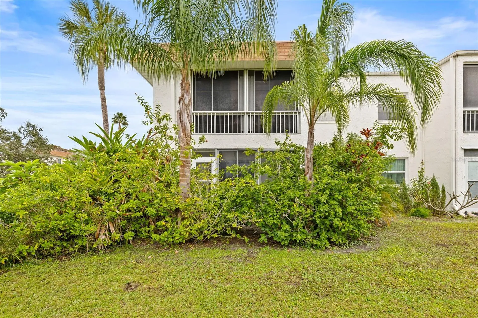 379 S Mcmullen Booth Road Clearwater FL 33759