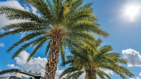 3268 Fish Hawk Drive Polk City FL 33868