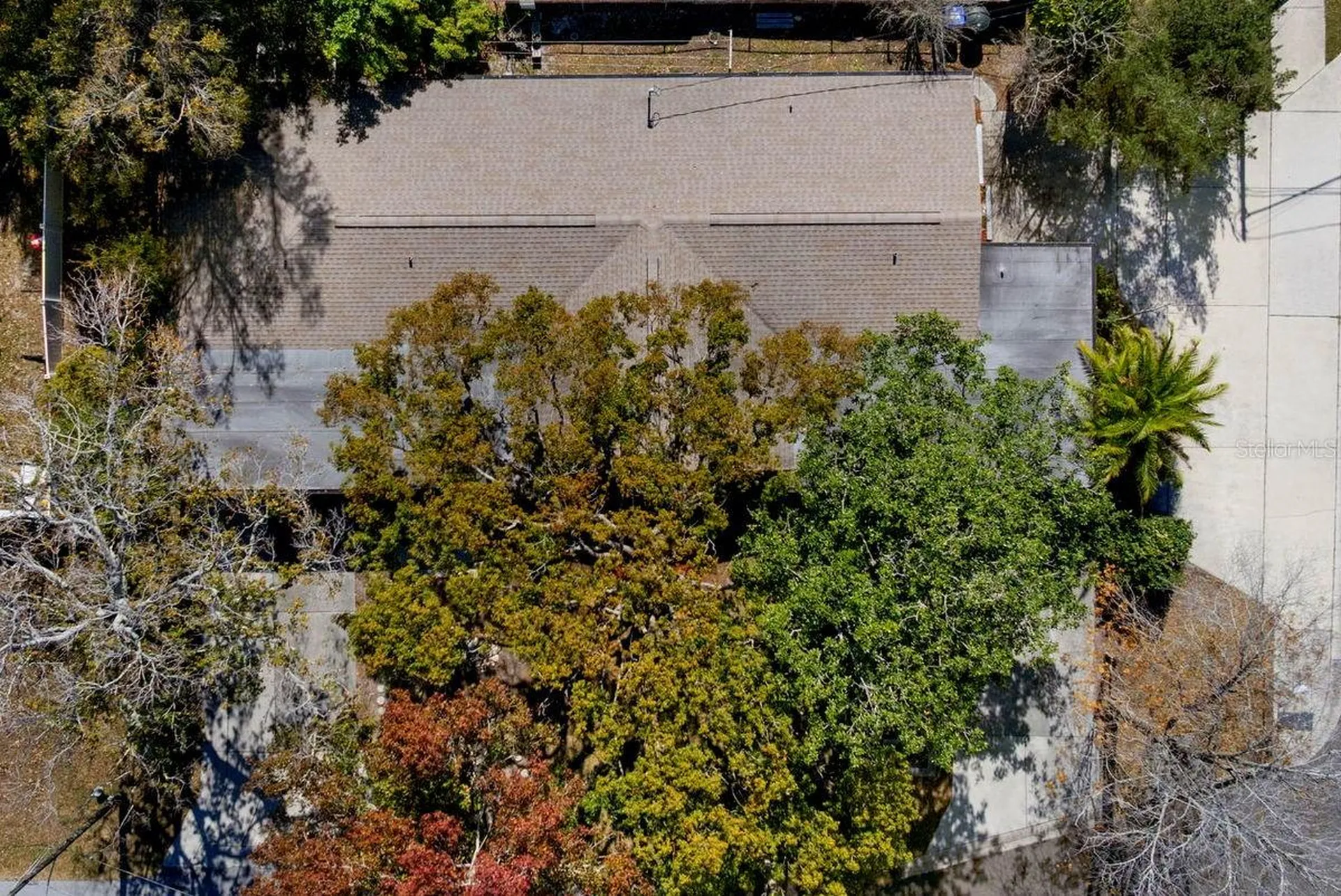 1301 N Lotus Drive Dunedin FL 34698