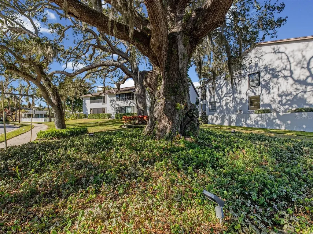 413 S Bayshore Boulevard Safety Harbor FL 34695