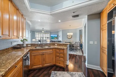 14041 Bellagio Way Osprey FL 34229