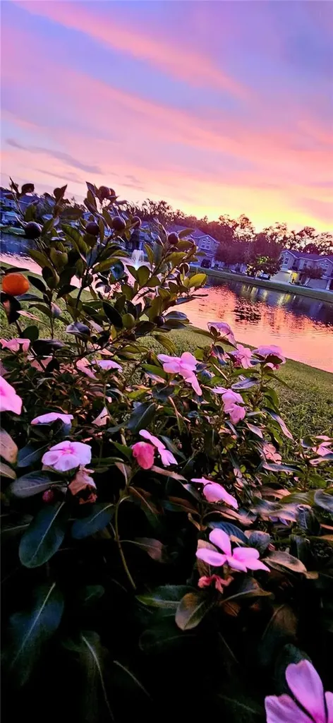 1962 Marlington Way Clearwater FL 33763