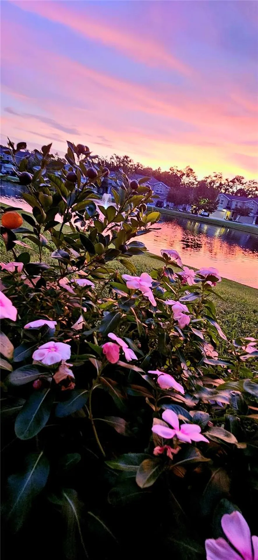 1962 Marlington Way Clearwater FL 33763