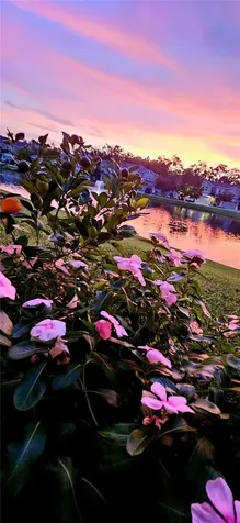 1962 Marlington Way Clearwater FL 33763