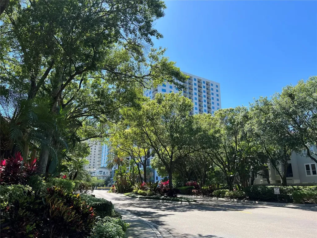 805 Normandy Trace Road Tampa FL 33602
