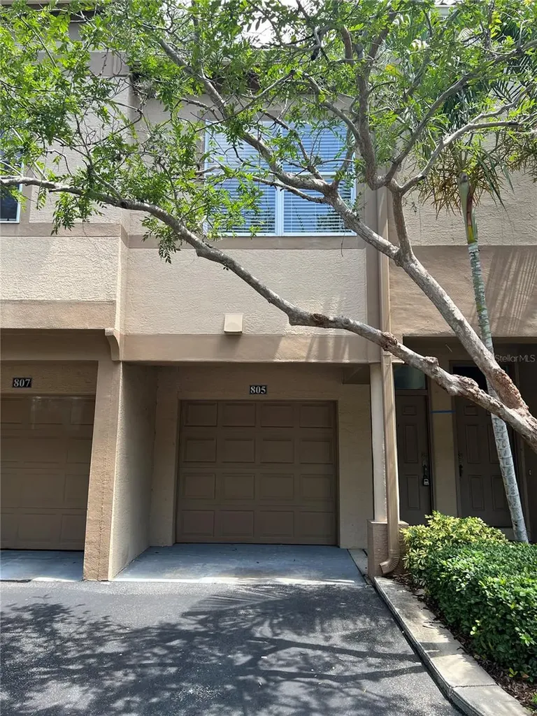 805 Normandy Trace Road Tampa FL 33602