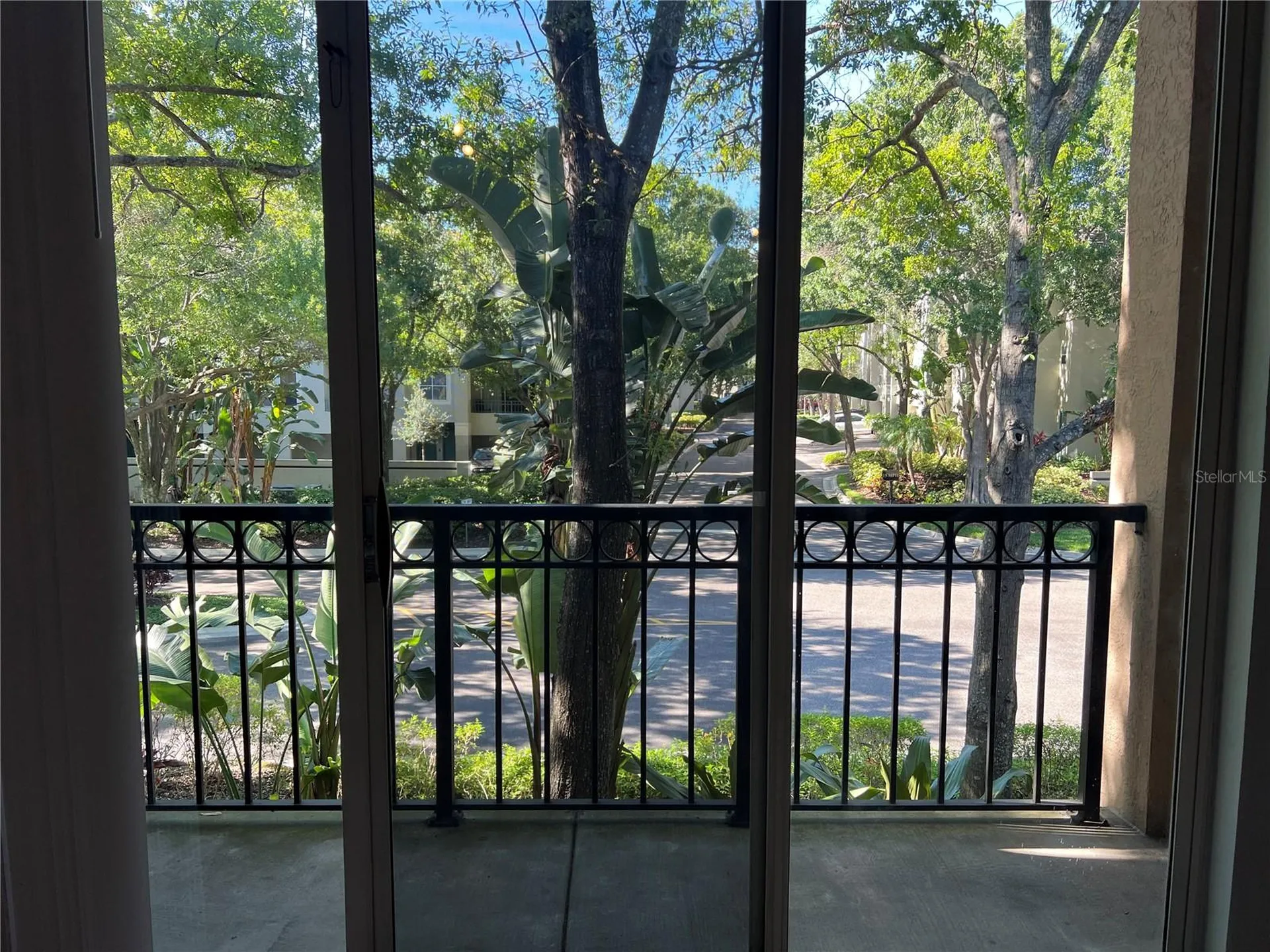 805 Normandy Trace Road Tampa FL 33602