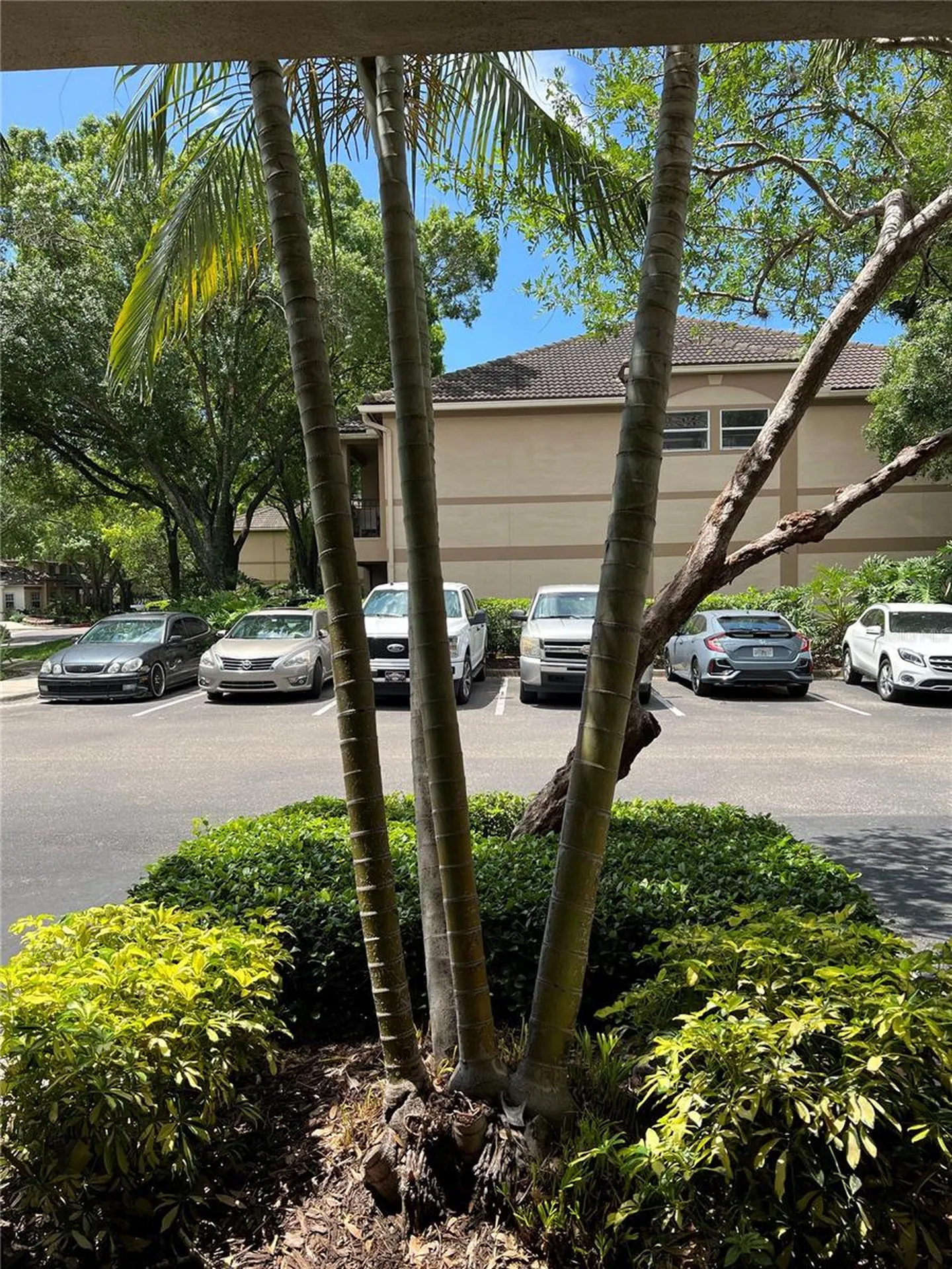 805 Normandy Trace Road Tampa FL 33602