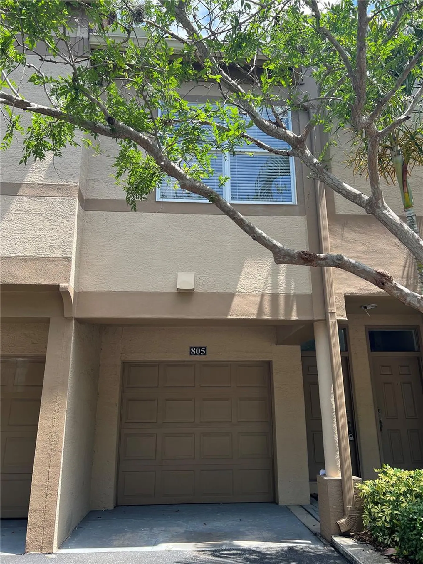 805 Normandy Trace Road Tampa FL 33602